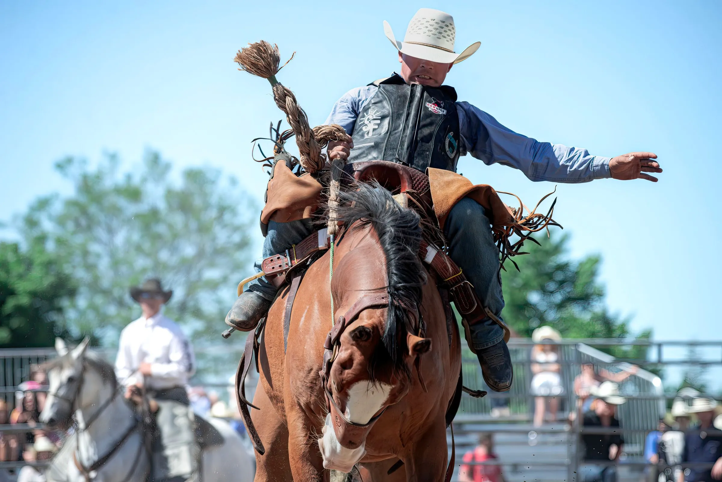 A bronc rider in a cowboy hat holding on to a bucking horse at a rodeo